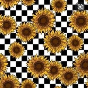 Meet your Posher, Anne